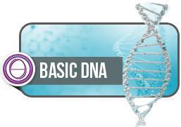 ThetaHealing Basic DNA