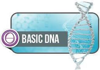 ThetaHealing Basic DNA Leanne Martell